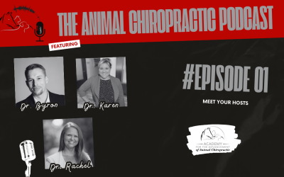 Introducing Our New Podcast, A Fresh Voice for Animal Chiropractic