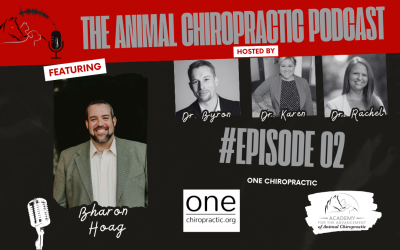 One Chiropractic | Episode 2