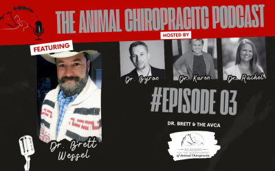 Dr. Brett & the AVCA | Episode 3