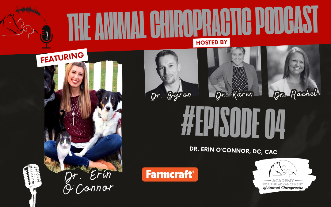 Dr. Erin & Farmcraft | E4