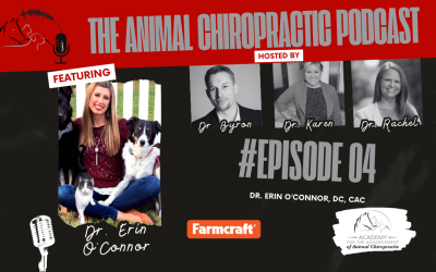 Dr. Erin & Farmcraft | E4