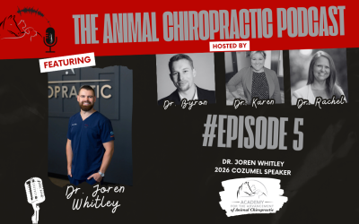 From Construction to Chiropractic: A Unique Journey Featuring Dr. Joren Whitley | E5