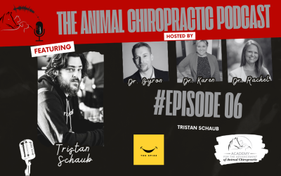 Tristan and ChiropracticResults.com | E6