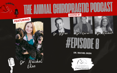 Dr. Rachel Eken and Show Dogs | E8